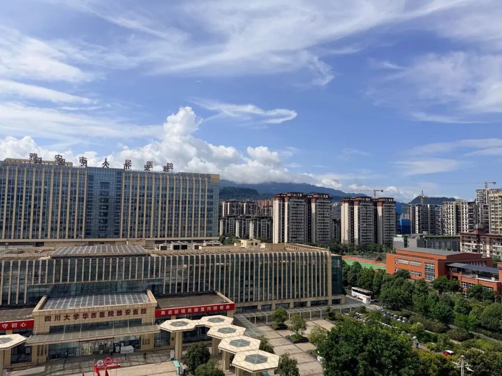 铝合金门窗与塑钢门窗性能对比及应用场景选型指南