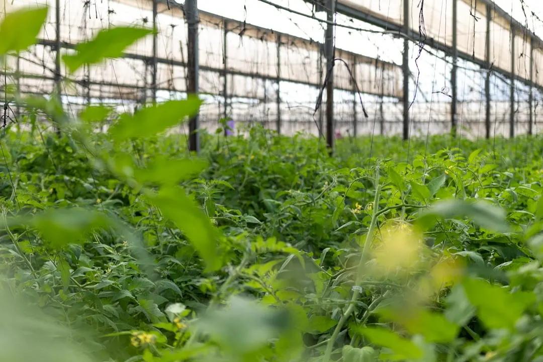高层住宅玻璃幕墙节能设计要点及施工技术解析