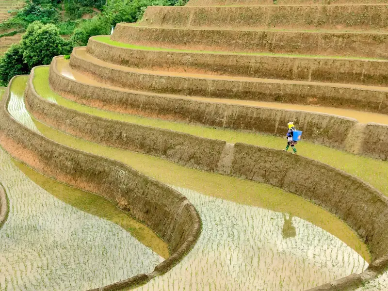 重庆地区玻璃幕墙工程设计要点与节能性能解析